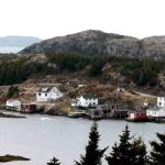 A view of  'Turkey Shore' from across the harbour. The land mass behind that is Twillingate Island.