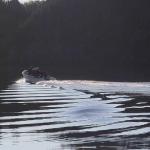 Heber going out to sea  - taking some folks out fishing.