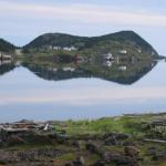 Sometimes the harbour is still and seems like you are looking at a mirror. Those days are lovely for kayaking. Sometimes there are little white caps. We have had a dolpin visiting us at the stage, a seal on the rock in front of the house and this winter, two whales in the harbour.